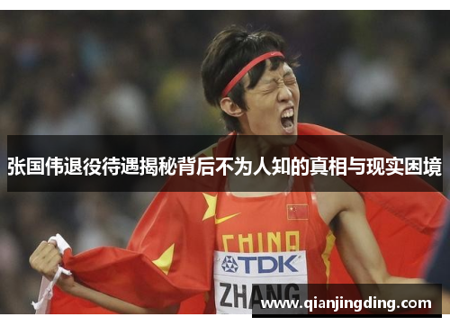 张国伟退役待遇揭秘背后不为人知的真相与现实困境